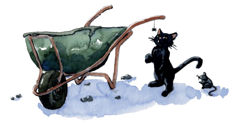 Mario dessin journée internationale du chat noir Xavière l'Aventurière